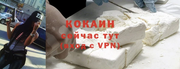 молекула духа Осинники