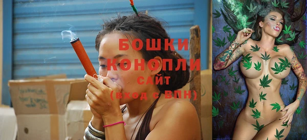 молекула духа Осинники